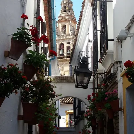 Casa Patio De Arcos Ferienhaus