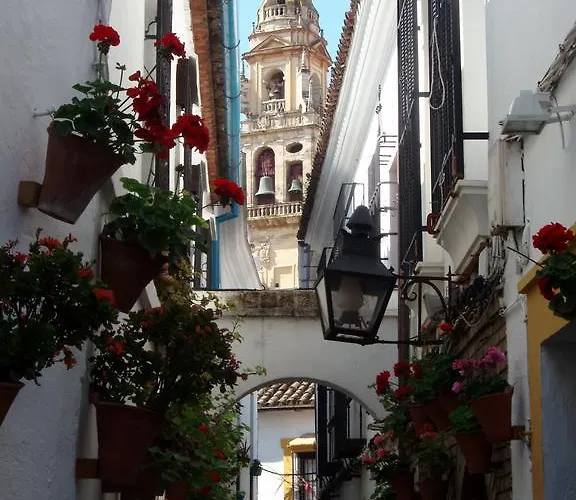 Casa Patio De Arcos Hébergement de vacances